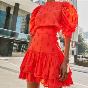Farm Rio Red 3D Pineapple Mini Skirt